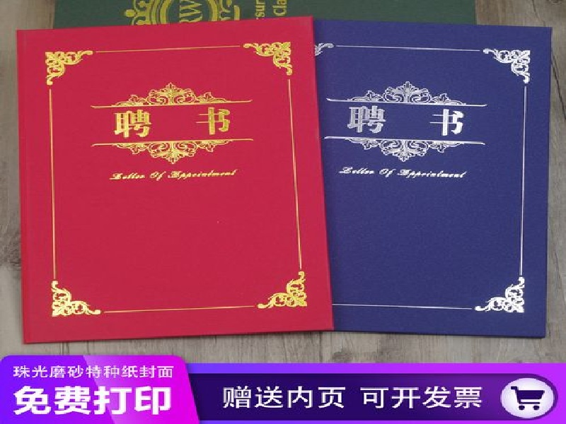 聘书任命书定制 聘书任命书定制-橙绿活力青春风