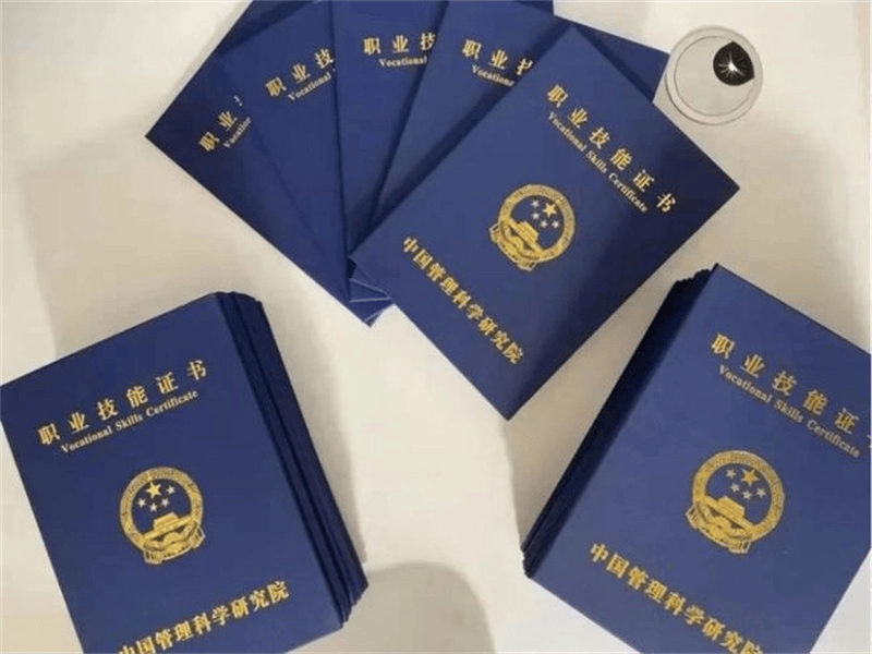 资质证件定制 资质证件定制-橙绿活力青春风